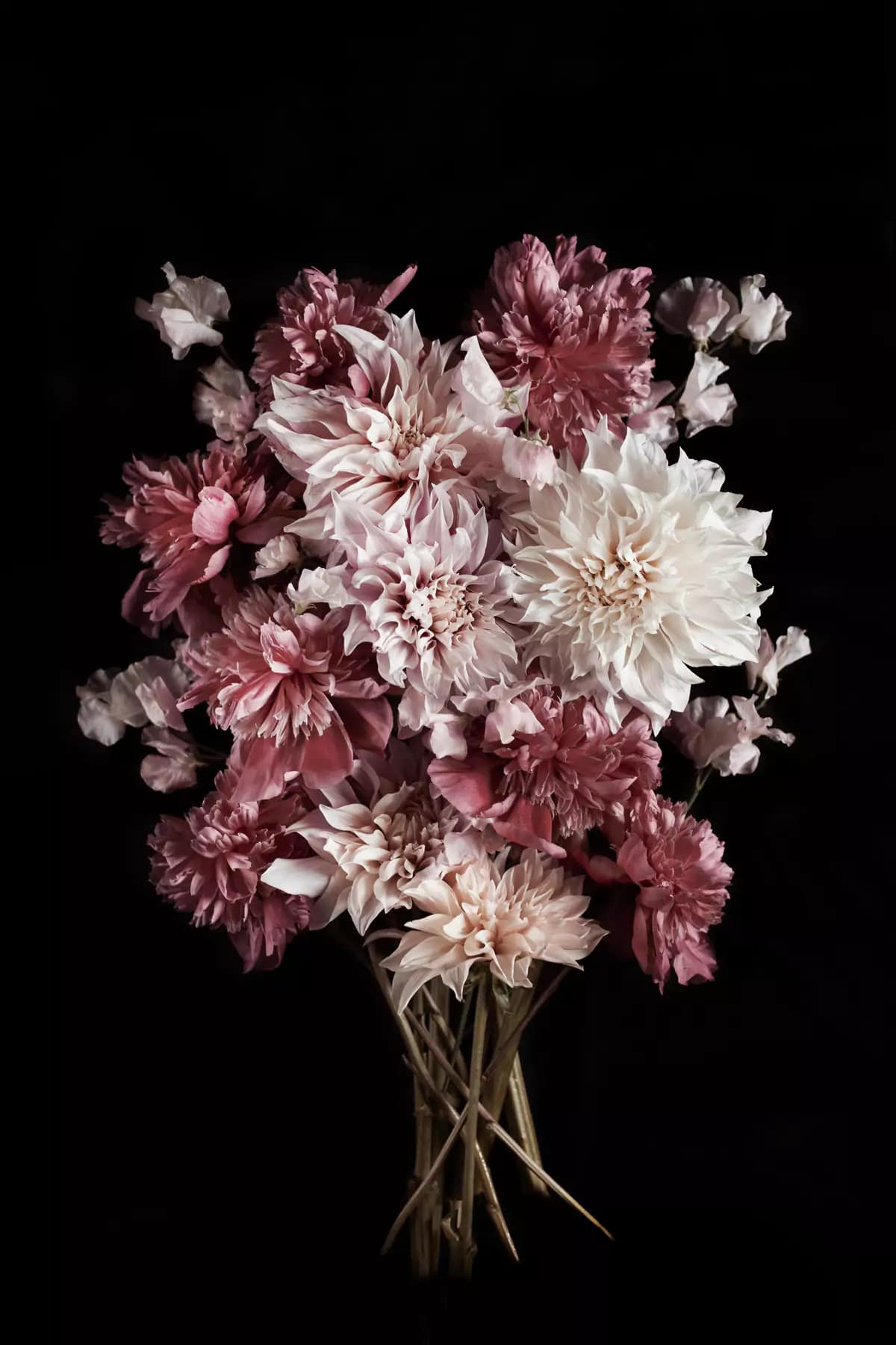 Dahlia peony sweet pea spring bouquet floral photography print — Botanic Art Berlin