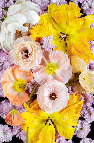 spring flowers