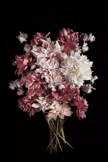 Dahlia peony sweet pea spring bouquet floral photography print — Botanic Art Berlin